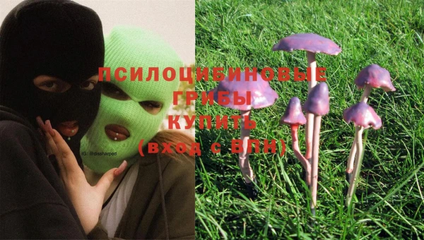MDMA Богданович