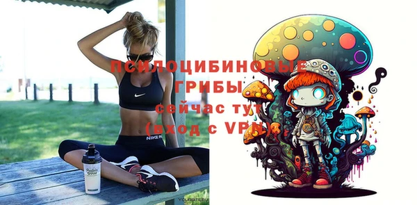 MDMA Богданович