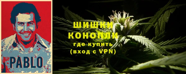 прущая мука Богородицк